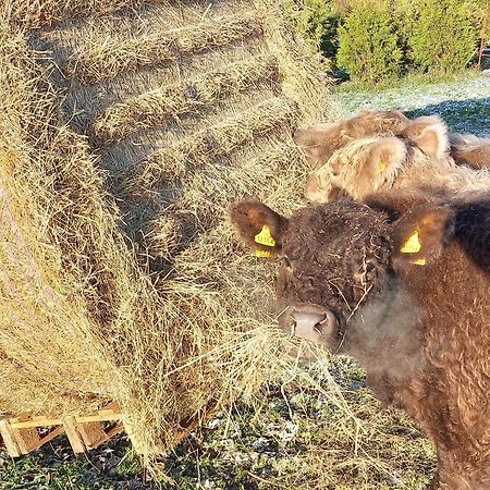 Ferienwohnung Auf Dem Land Dittersbach Екстер'єр фото